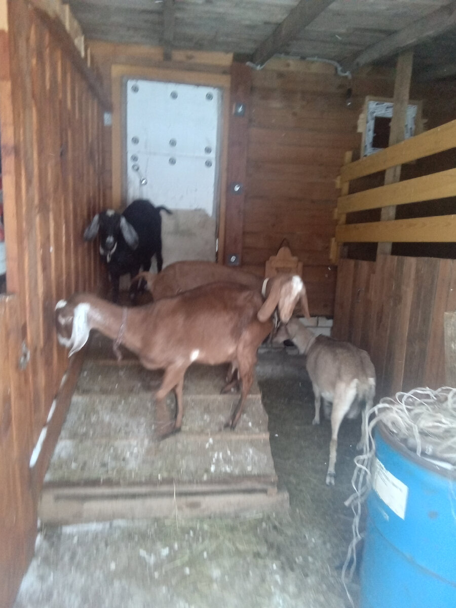 Фото автора . 