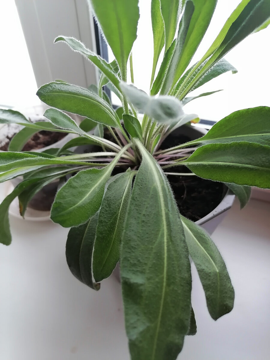 автор фото канала - В гостях уМАРИИ