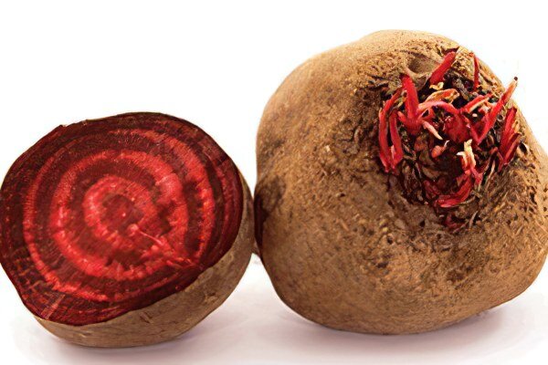 Свекла в кулинарии