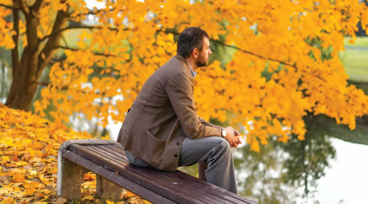 Яндекс картинки