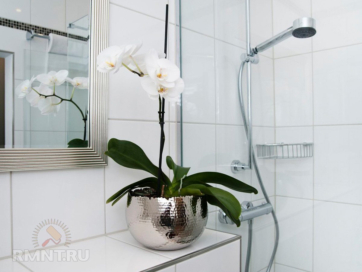   Фото realsimple.com