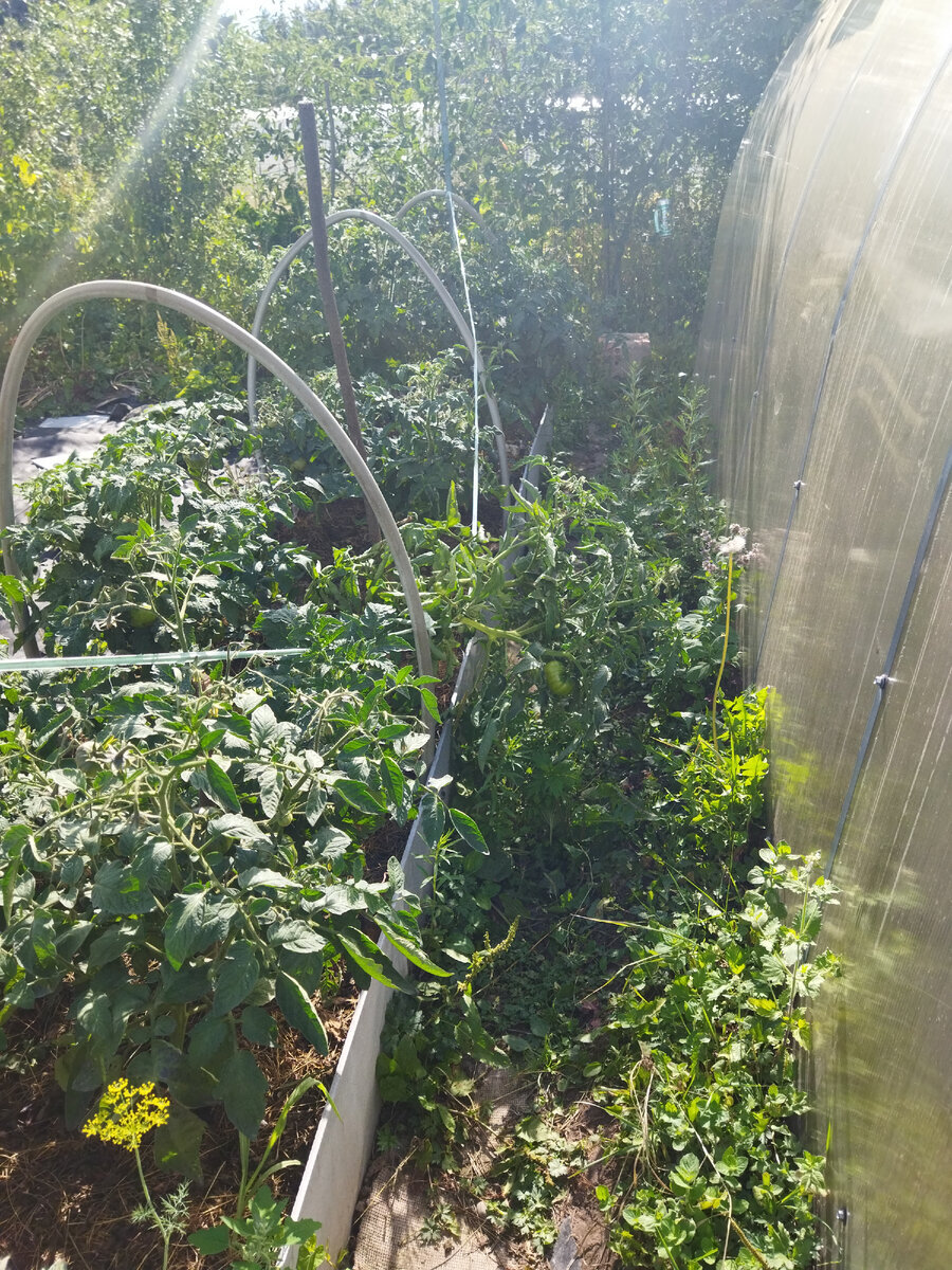 20 июля. Упал - Гордость пирса