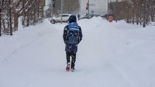    © Sputnik / Владислав Воднев