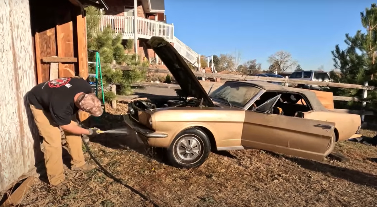 Редкий Ford Mustang 1966 года нашли в сарае, где он простоял более 40 лет и  стал домом для мышей | iXBT.com | Дзен