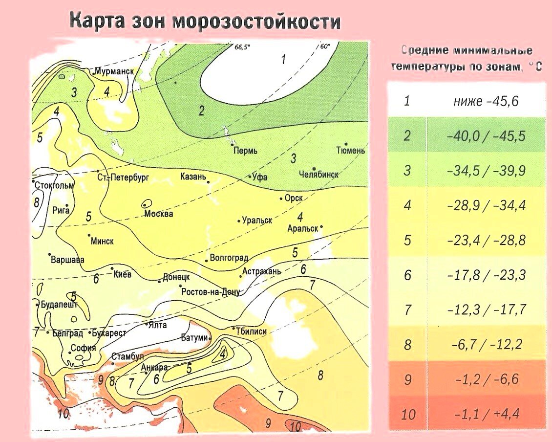 Зоны зимостойкости россии. Зоны зимостойкости: 3—8..