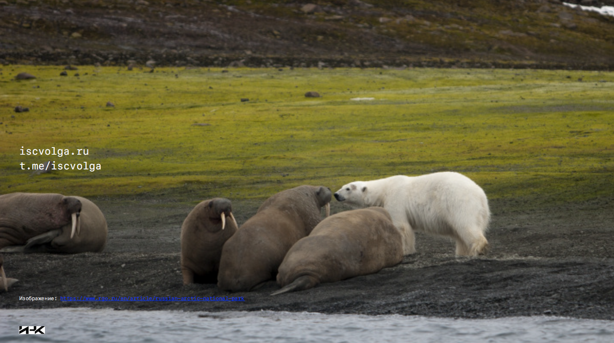 ИНК выступит на конференции с докладом на тему «ESG как путь устойчивого развития в контексте геополитических перемен». 