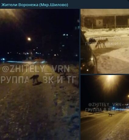    Изображение: скриншот телеграм-канала