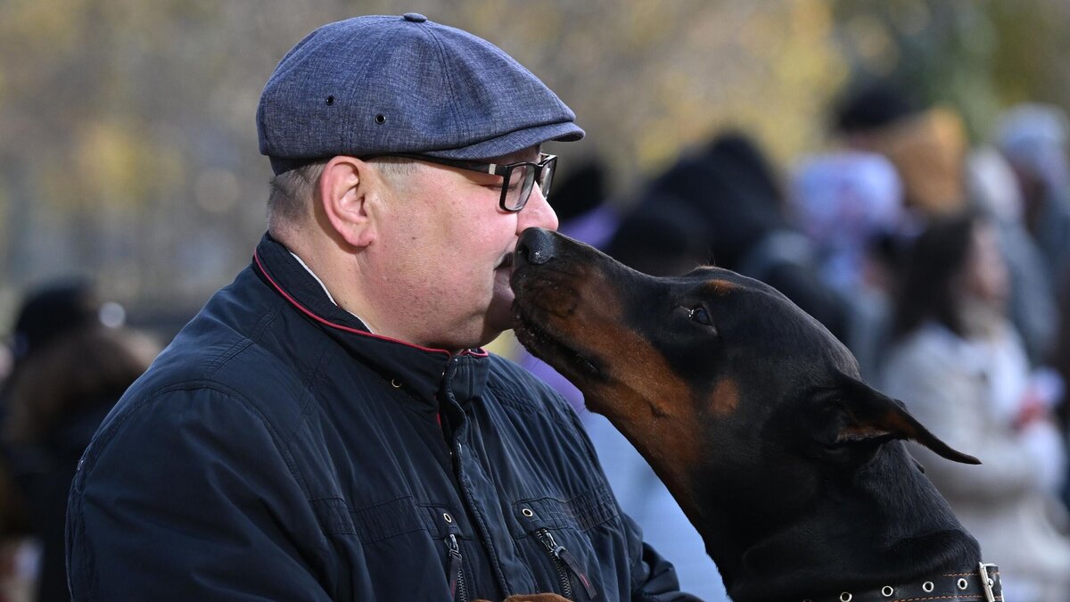    Какими качествами обладают животные, рожденные под знаком Водолея? © РИА Новости / Максим Богодвид