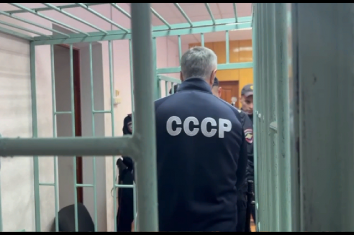    Адвокаты бизнесмена Анатолия Быкова намерены обжаловать приговор суда