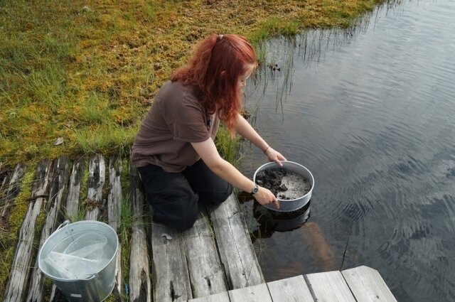    Исследования в экспедиции 2023 года в районе озера Большое Каюково. Фото: Из личного архивa/ Настя Горская