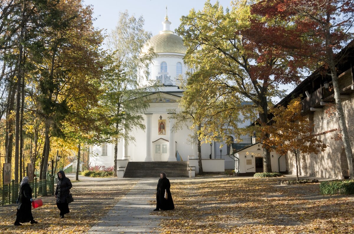 Фото: Павел Борисов