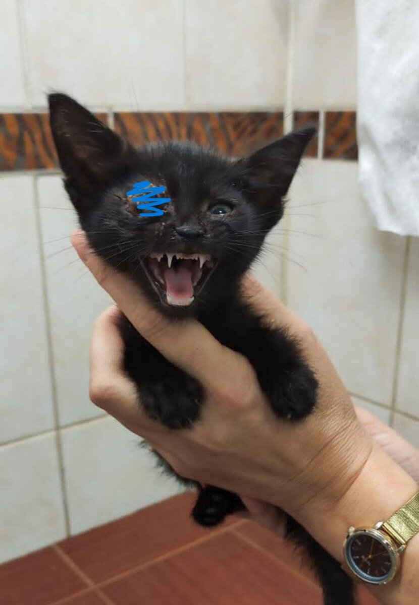 Малышка в клинике