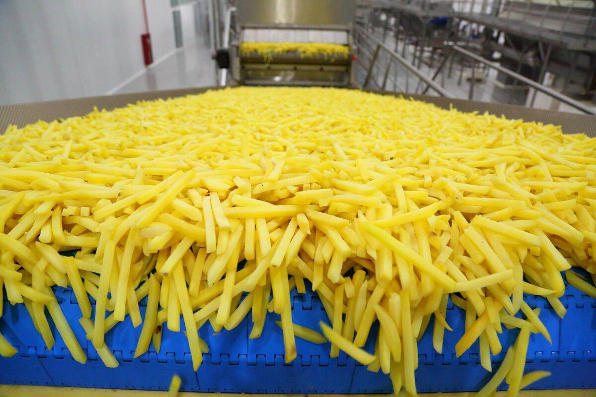 Картофель фри лэм уэстон белая дача. Картофель фри производители. Картофельные производители. Производство картофеля. Агрофирма кримм шарики картофельные.