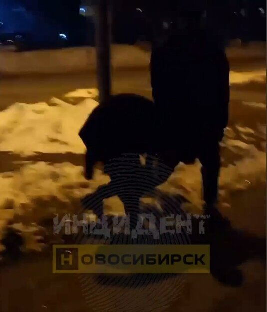 ФОТО: СКРИНШОТ ВИДЕО ТЕЛЕГРАМ-КАНАЛА ИНЦИДЕНТ НОВОСИБИРСК