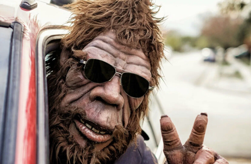 Фото взято из открытых источников.