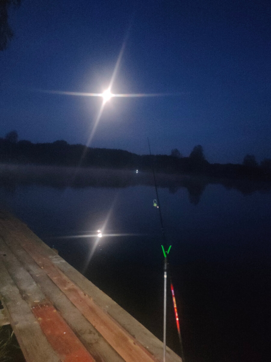 Утро на водоеме.