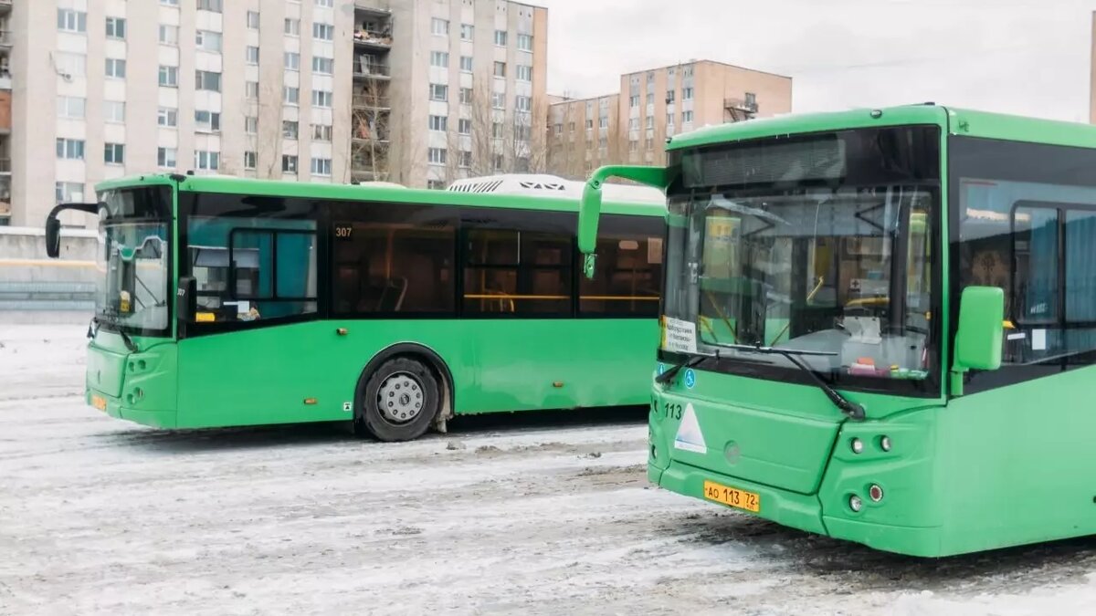     В Тюмени с 21 декабря из Ново-Комарово начнут курсировать автобусные маршруты до центра города. В микрорайоне уже установили остановки, идут работы по отсыпке и выравниванию разворотной площадки.