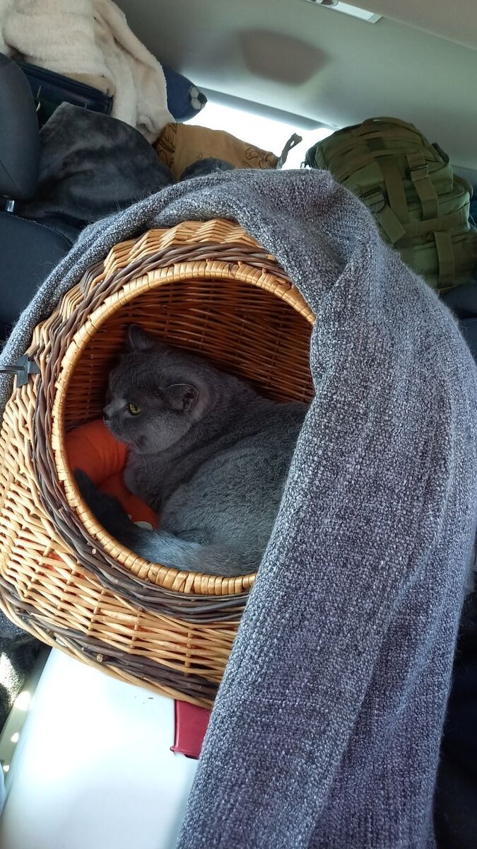 Все готовы в дорогу.