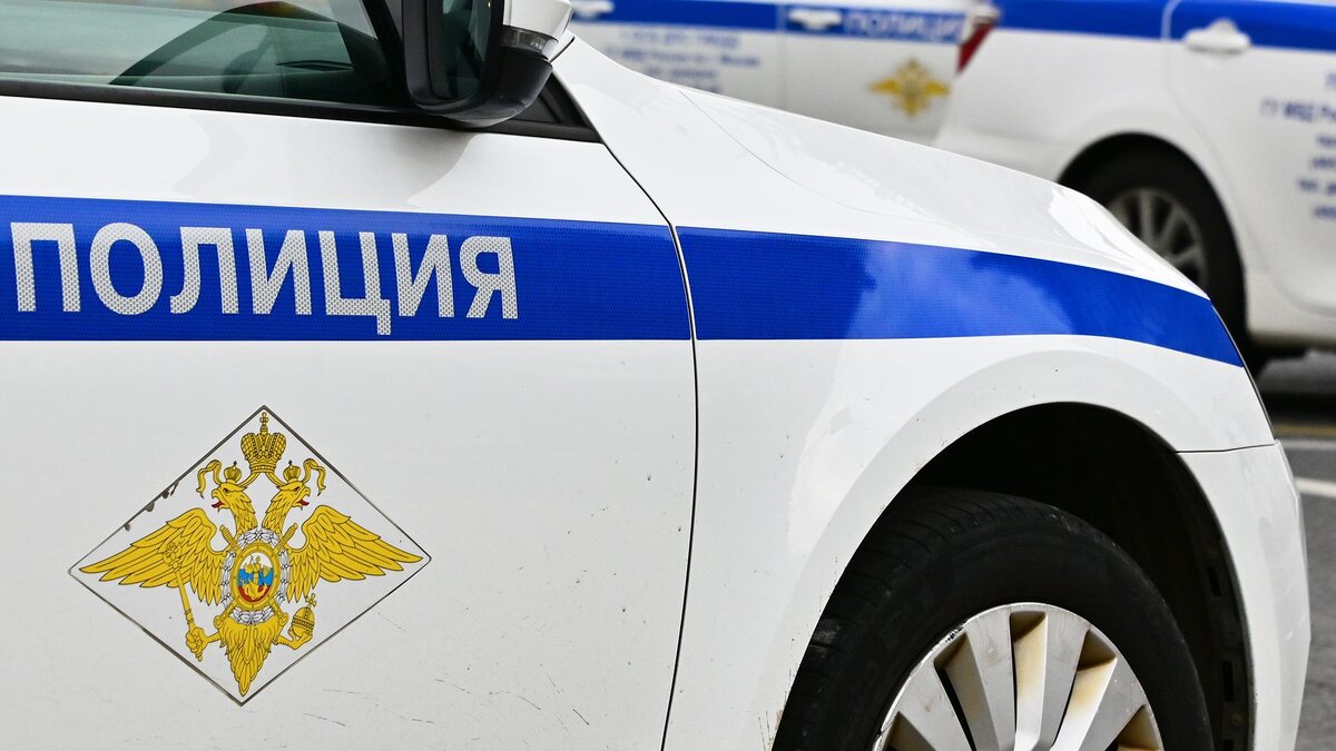 Фото: Vladimir Baranov/globallookpress.com