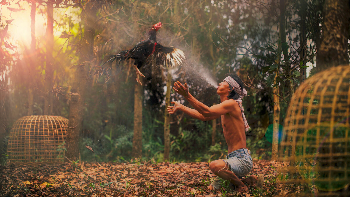 Таиланд (источник pexels.com)