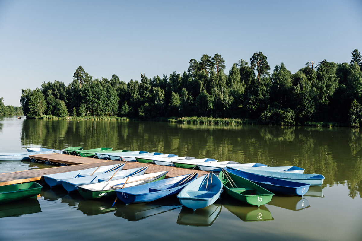 Усадьба Гребнево, Щёлково, Московская область