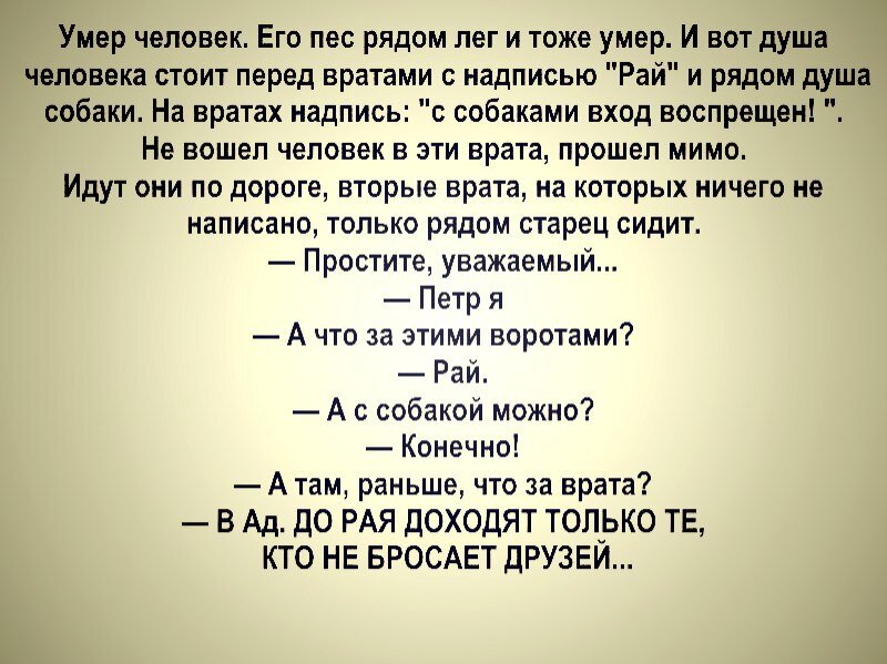 После школы лягу текст. До рая доходят только те кто не бросает своих. Анекдот про собаку и рай. Легла рядом. Притча попал человек с собакой в рай.