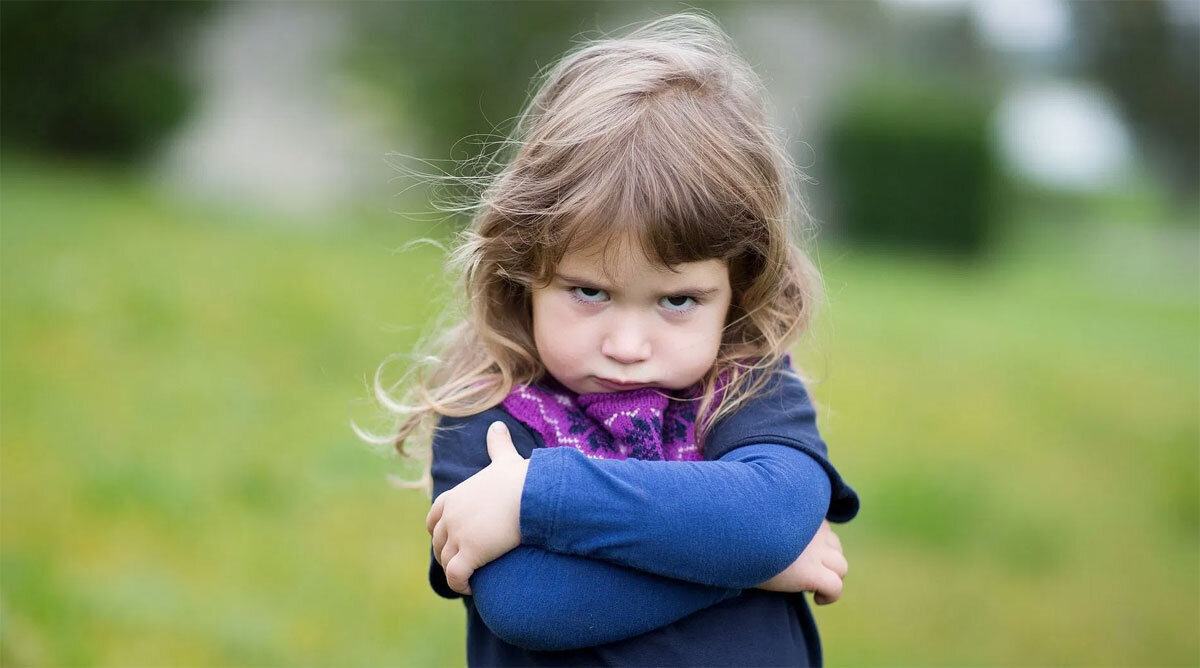 из открытых источников интернет