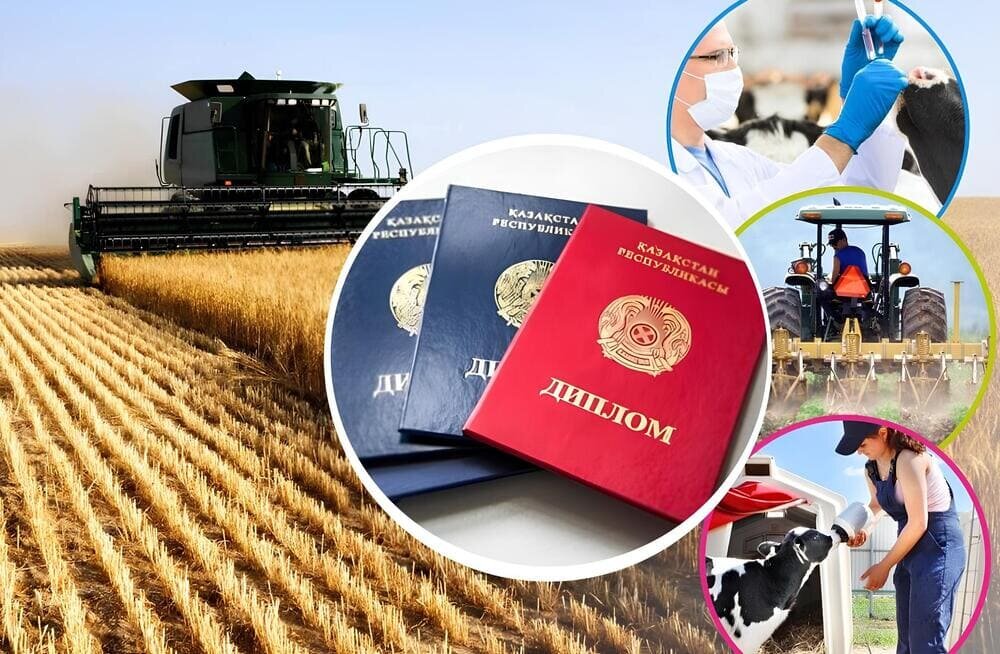дипломмен ауылға бағдарламасы