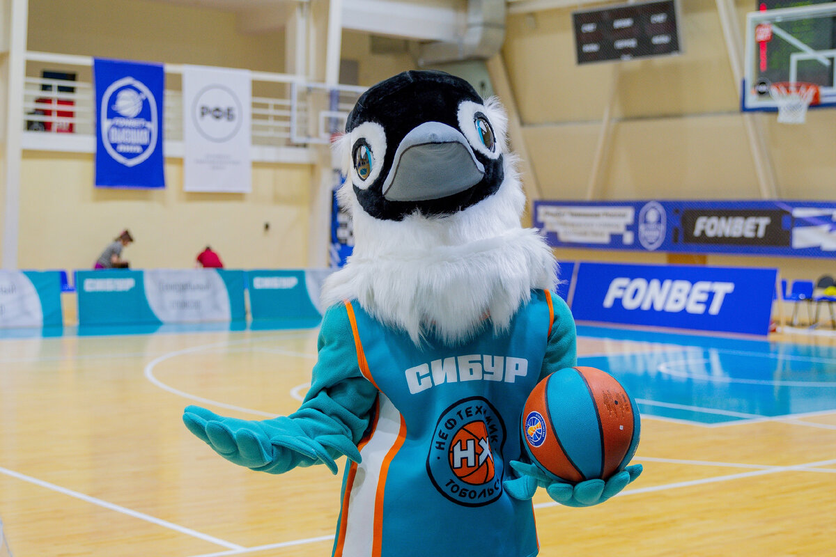 Наш маскот - Чибис