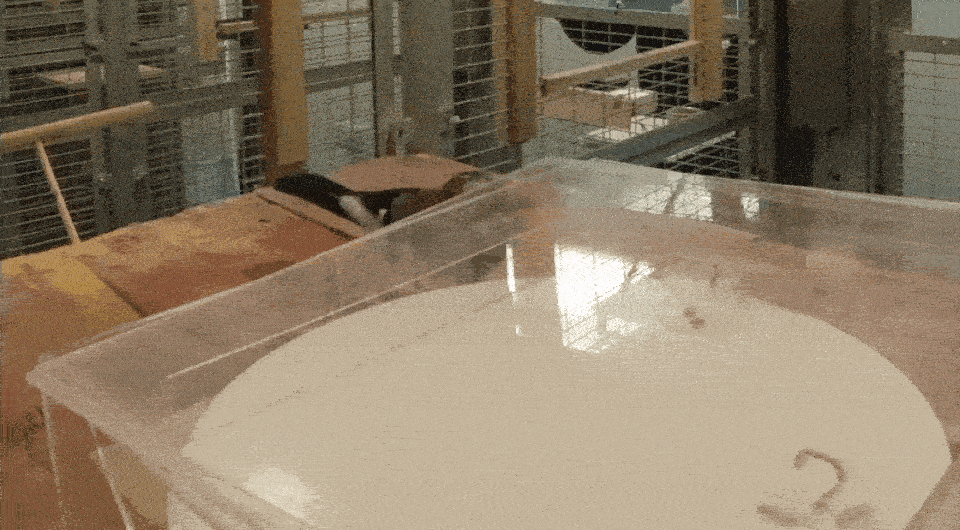   Rachael Miller et al. / PLoS One, 2023