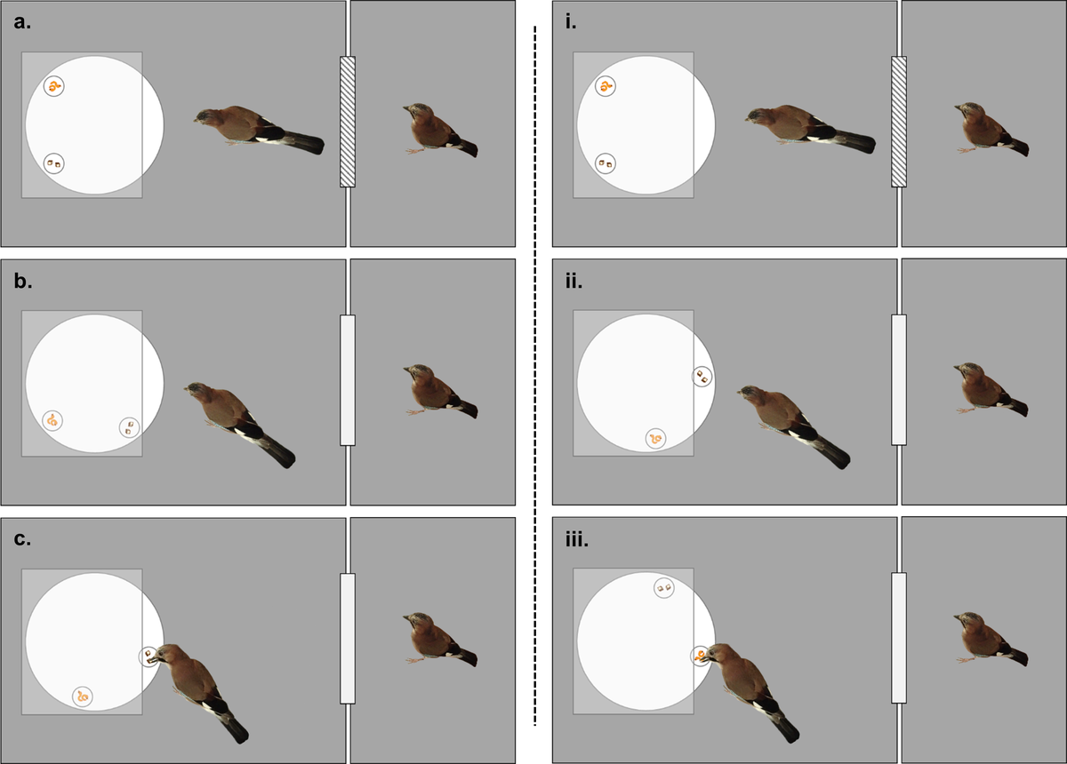   Rachael Miller et al. / PLoS One, 2023