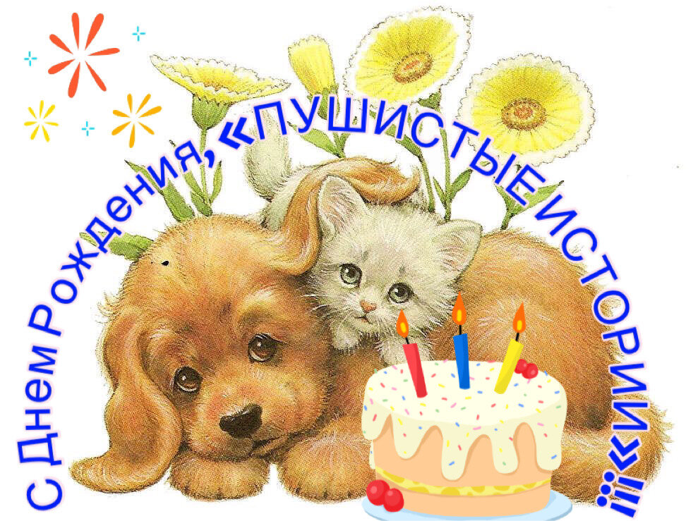 Фотооткрытка из личного архива автора.