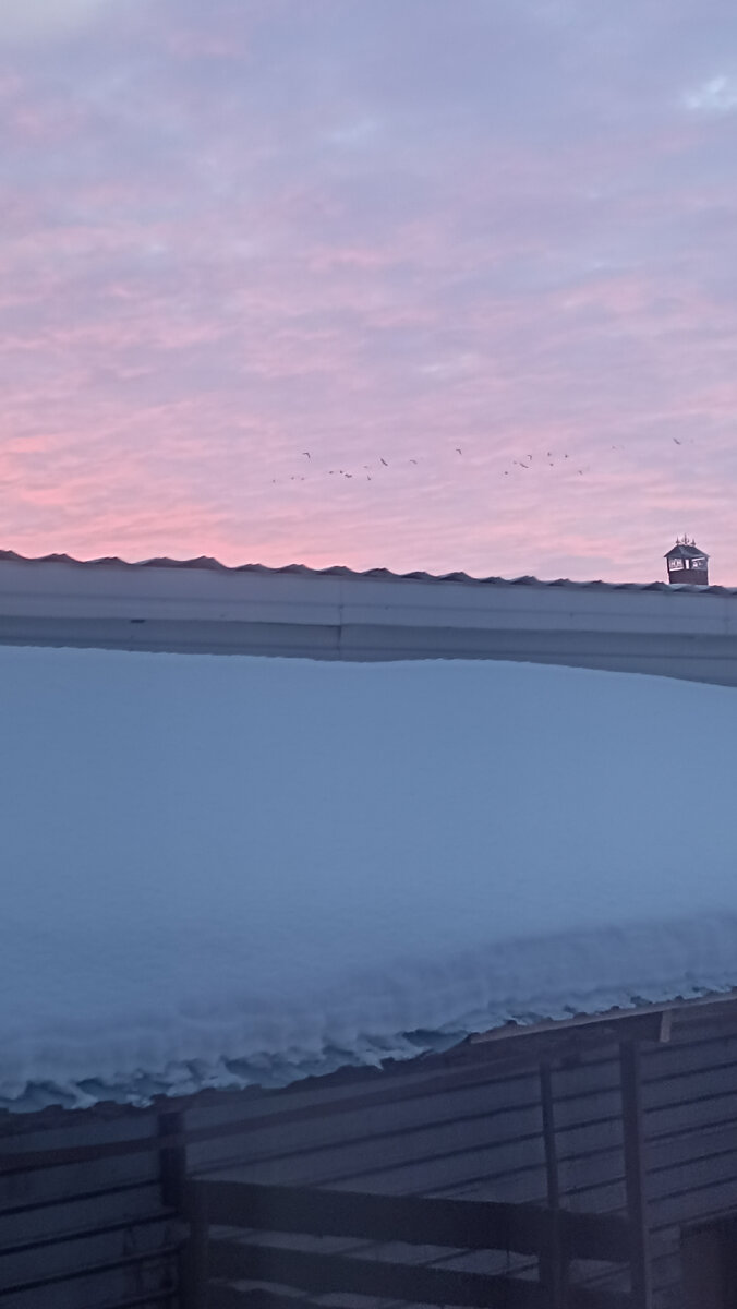 Рассвет. Птицы куда-то намылились с утра пораньше. 