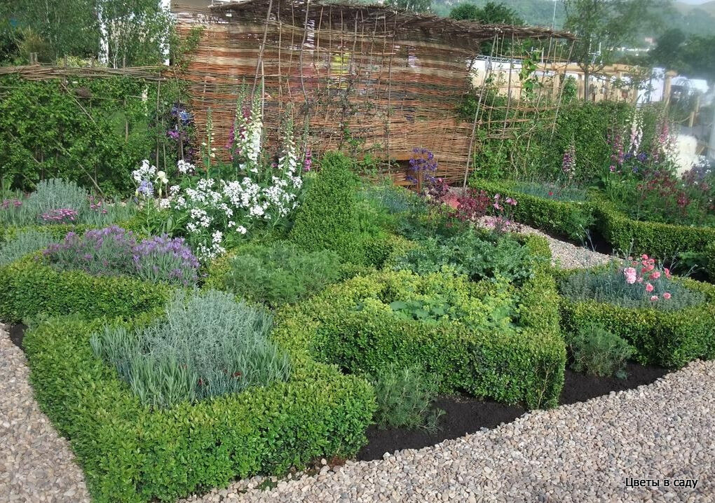 Современный декоративный огород в Английском палисаднике