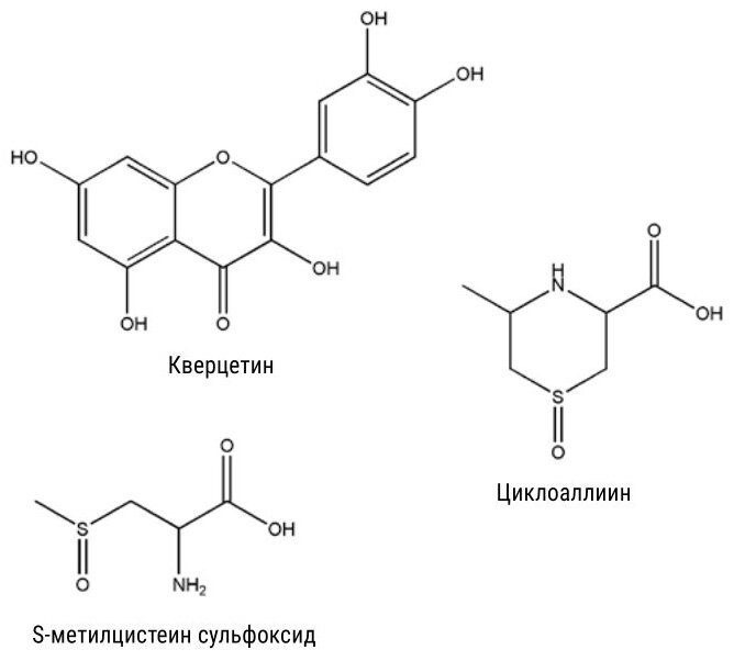 Катализатор ослабления иммунитета 7 букв