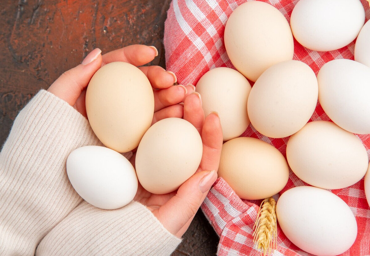Купить яйцо в белгородской области. Свежее яйцо. Категории яиц. Яичные продукты. Импортные яйца.