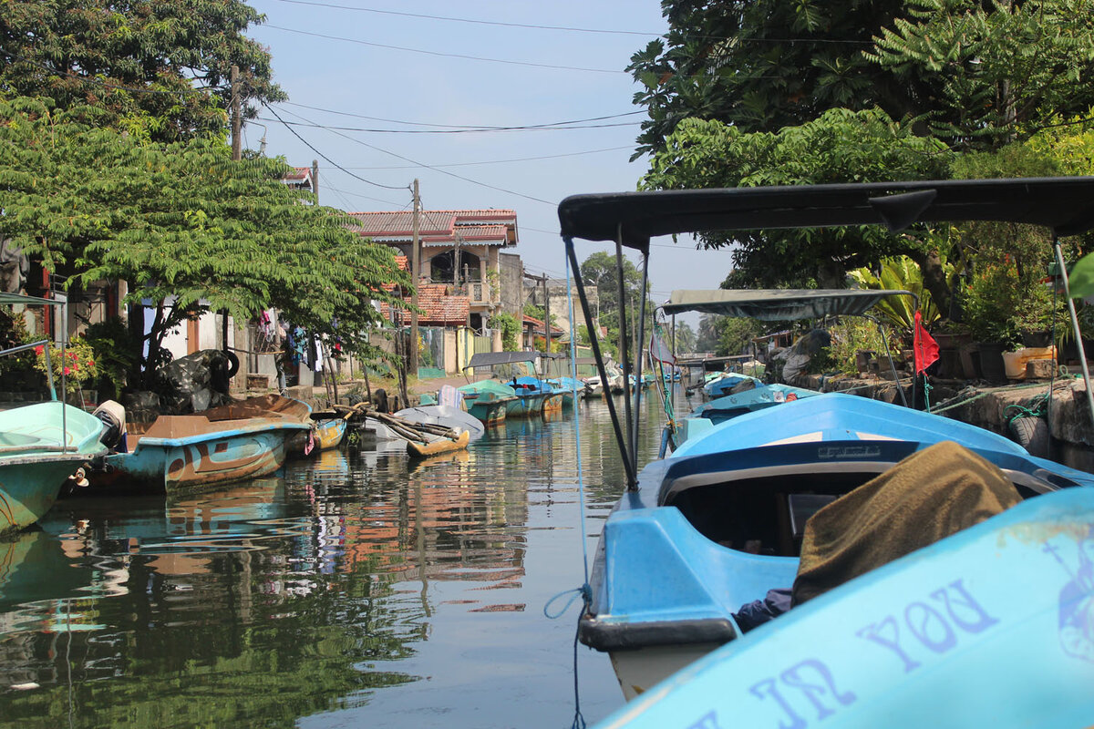 Каналы в Негомбо