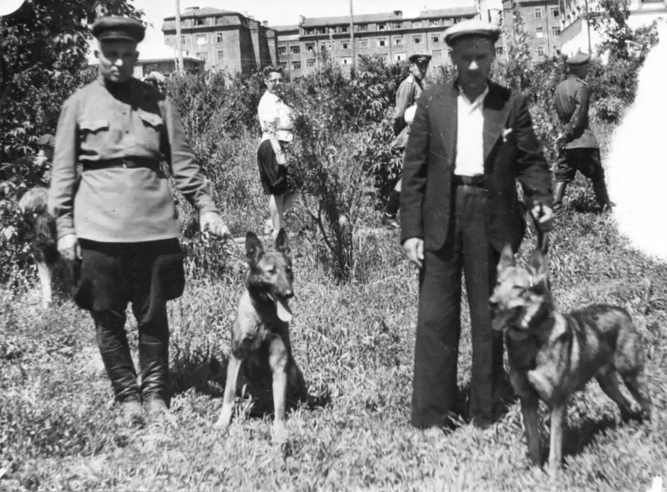 Здравствуйте, дорогие товарищи! Сегодня я вновь предлагаю посмотреть на старые фотографии и окунуться в океан воспоминаний и новых впечатлений. Узнать что-то новое или вспомнить хорошо забытое старое.-4