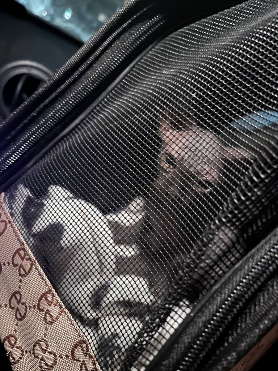 Вот те самые дела на выходных!