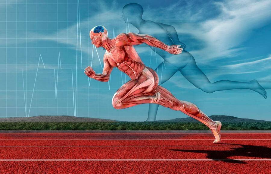 Зависимость от спорта