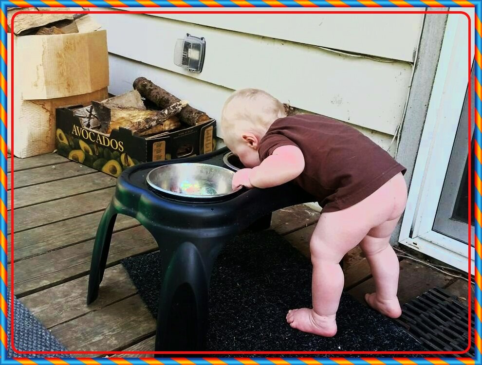 Крутая обезьяна. Сумасшедшие дети. Прикольные собаки. Необычные ситуации. Безбашенные девушки.