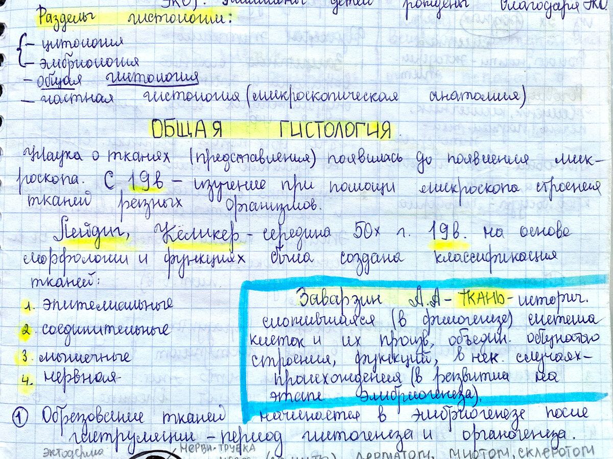 Опять ничего не разобрать…» Почему у врачей плохой почерк? Ответ врача. |  Елена Вольдар | Дзен