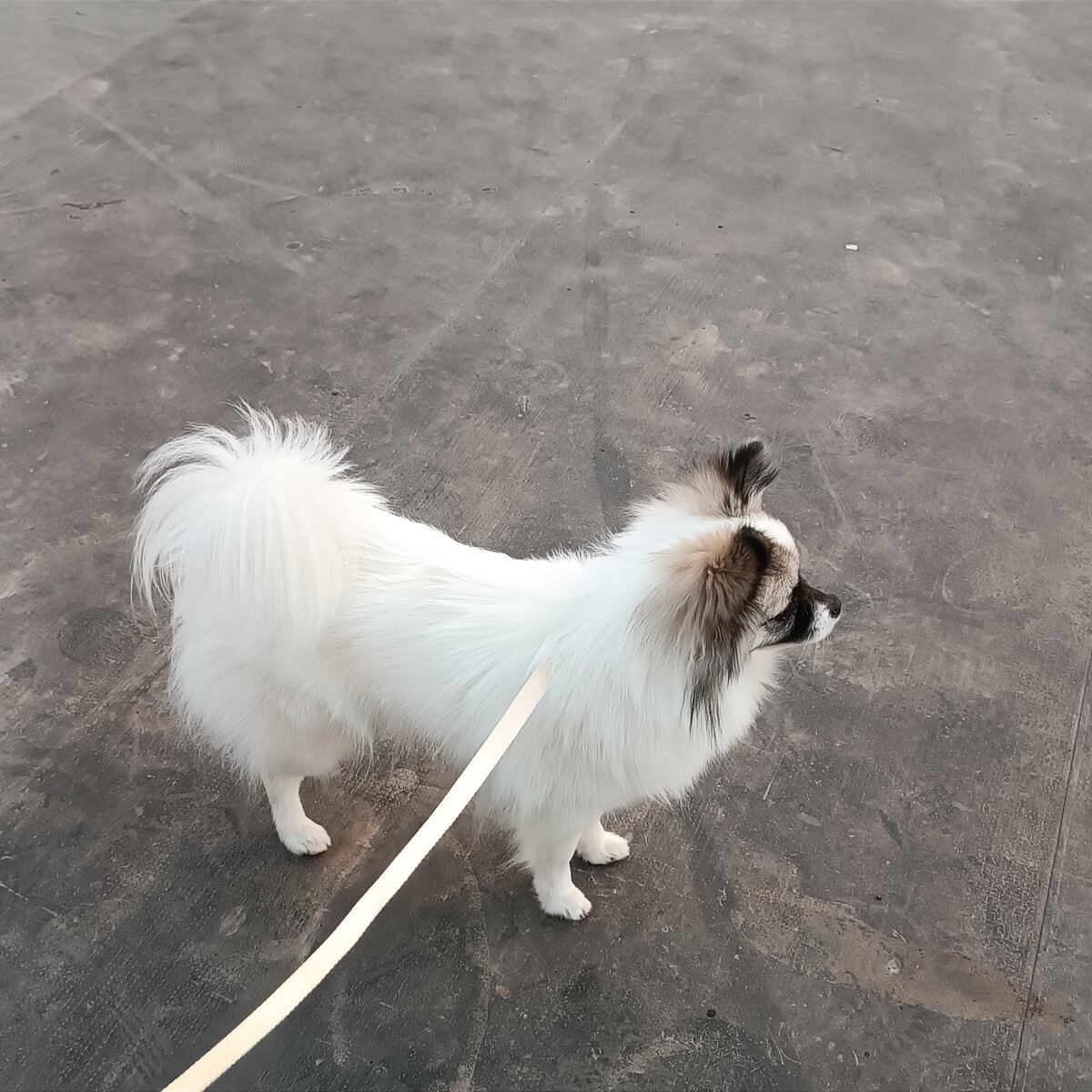 Гуляли до морозов в октябре