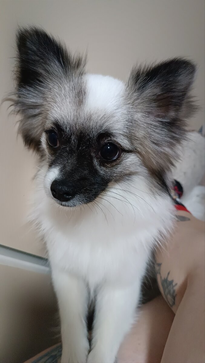 Красотка Эмити💕