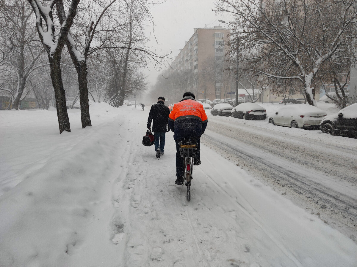 С каких это пор найти экзотическое манго в магазине стало проще, чем ...