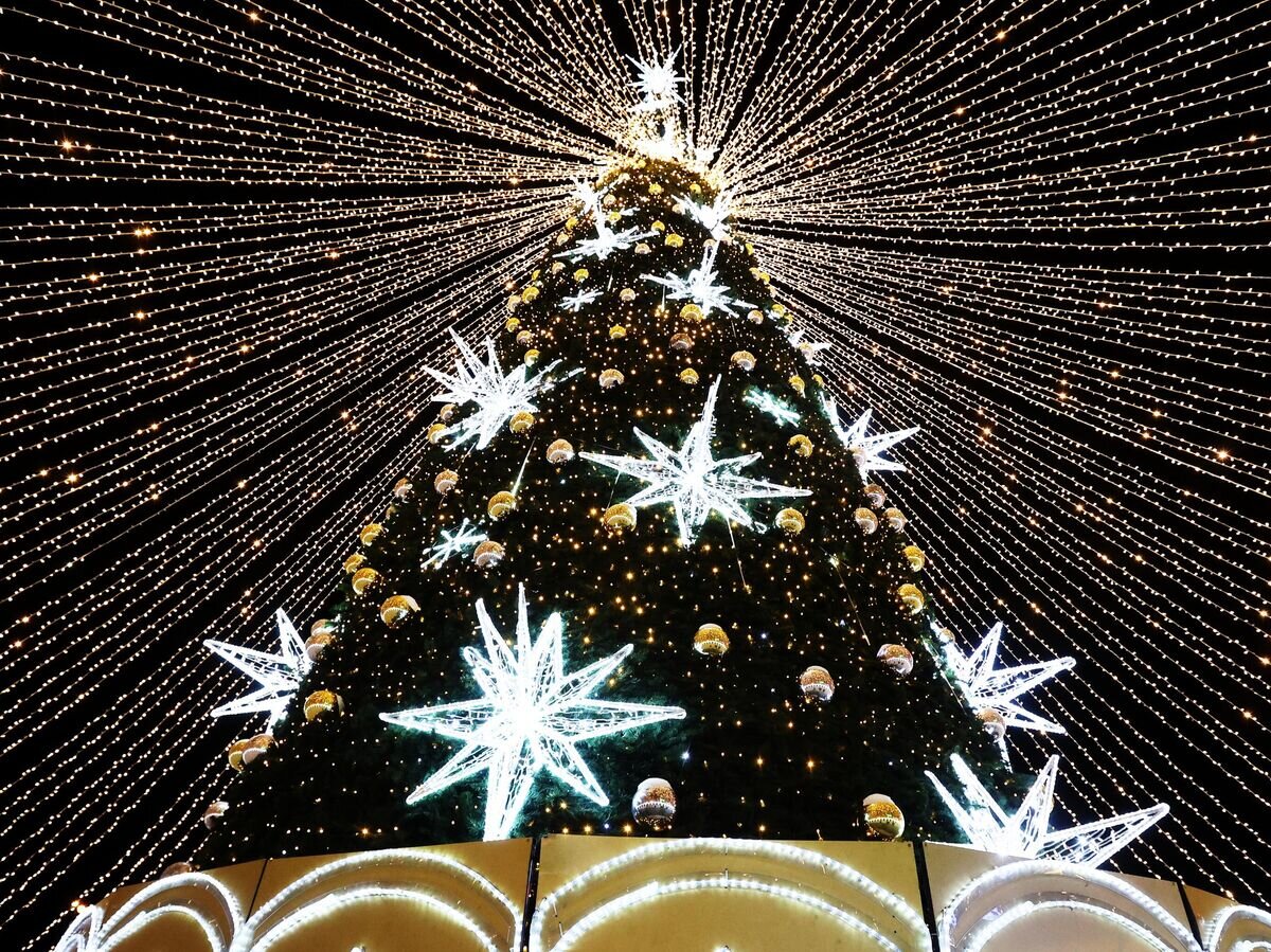    Новогодняя ель на центральной площади "Пять углов" в Мурманске© РИА Новости / Павел Львов