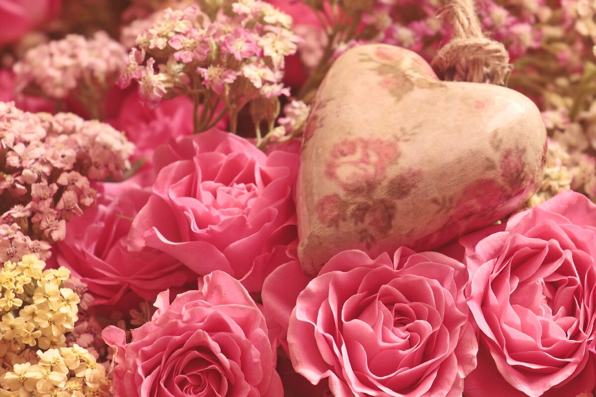     Цветочные символы разных стран: какие цветы означают любовь, дружбу и успех