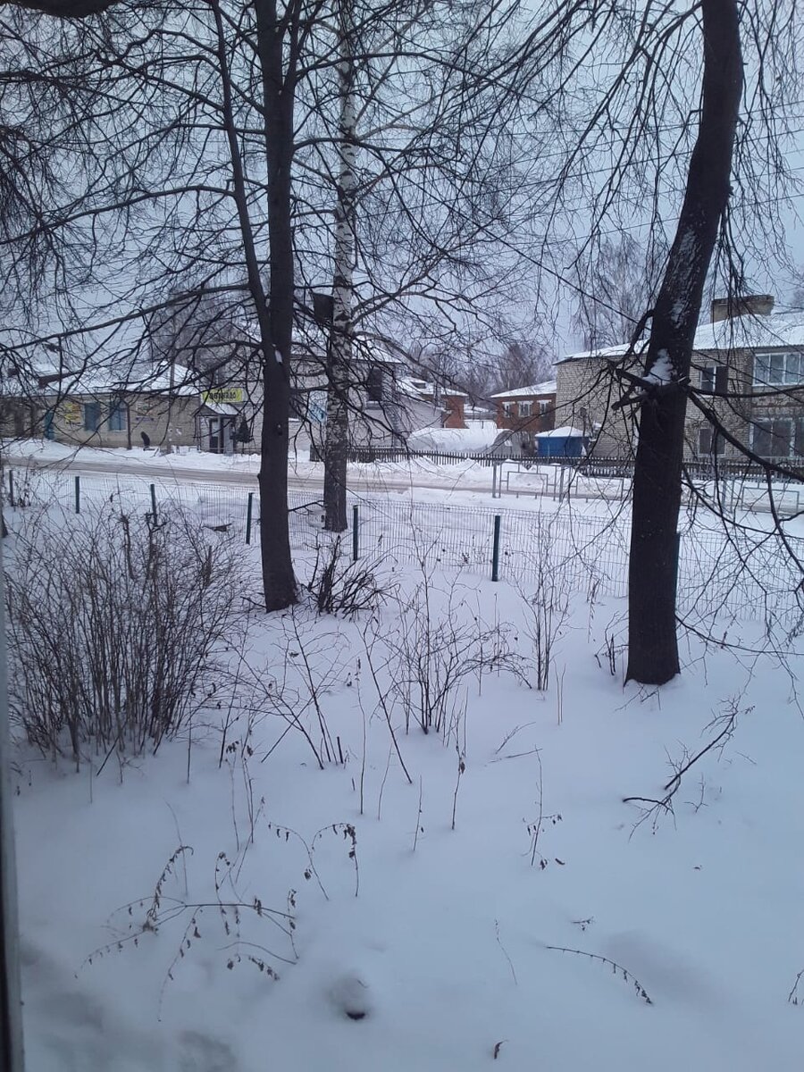 Фото из окна.