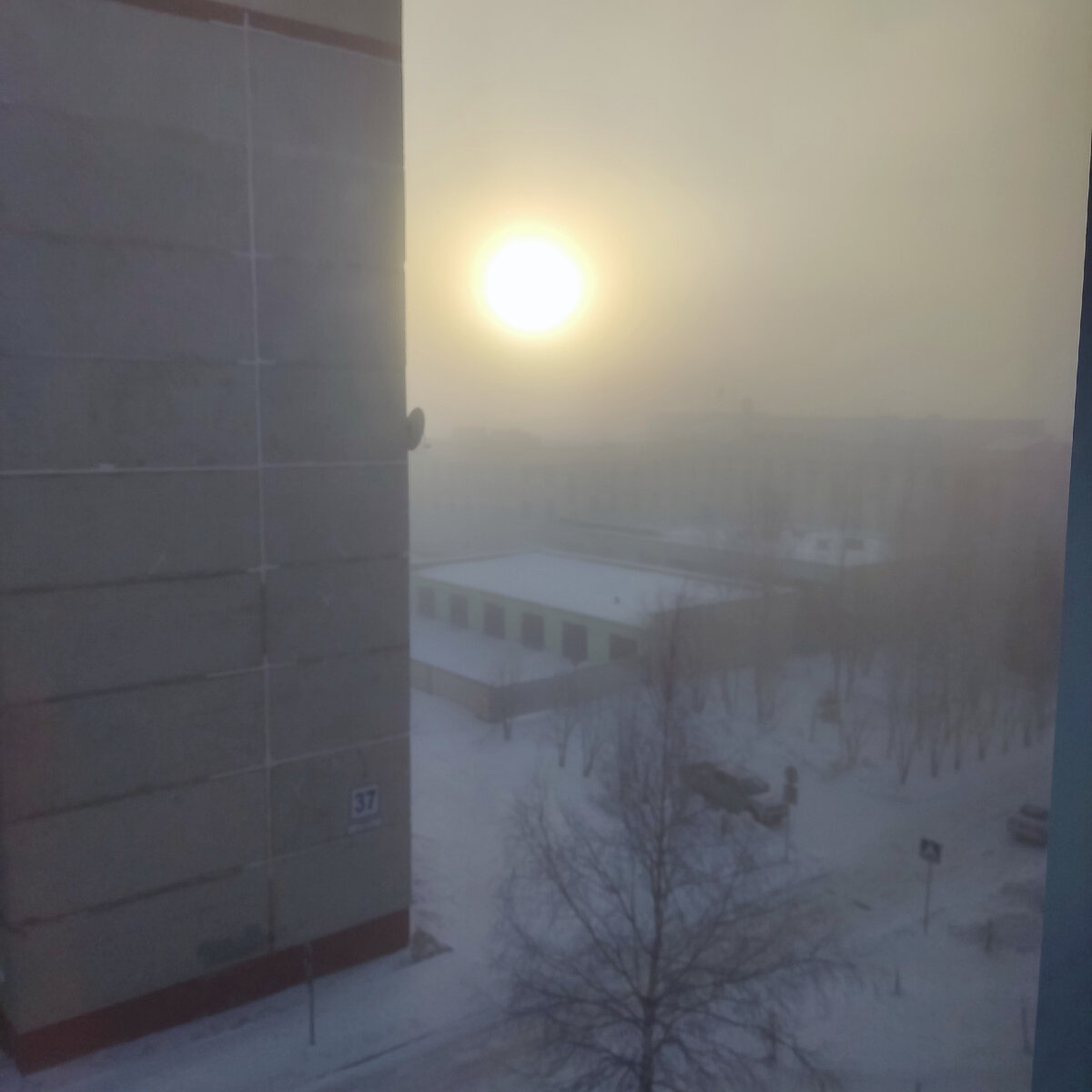 Морозный "туман "