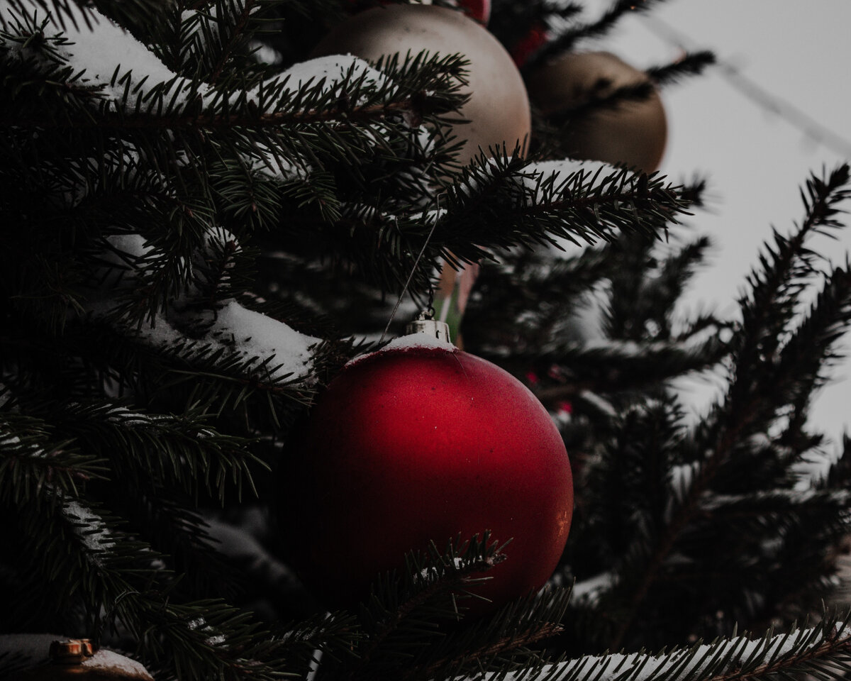 Photo by <a href="https://unsplash.com/@klim11?utm_content=creditCopyText&utm_medium=referral&utm_source=unsplash">Klim Musalimov</a> on <a href="https://unsplash.com/photos/a-close-up-of-a-christmas-tree-with-ornaments-IaoccgBCTcY?utm_content=creditCopyText&utm_medium=referral&utm_source=unsplash">Unsplash</a>   